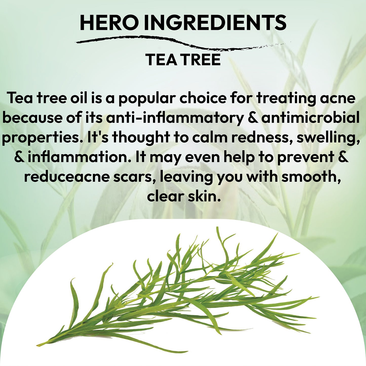 knee brightening scrub