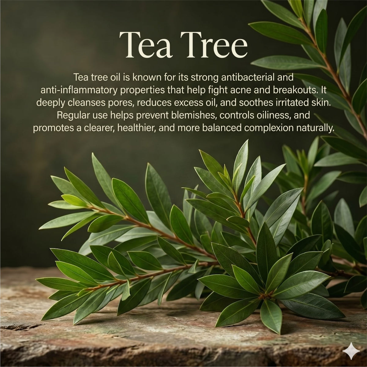 Luvyh Tea Tree Scrub- 100gm